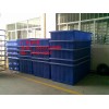 700L塑料方形|700（公斤）PE食品級周轉(zhuǎn)箱