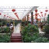 陽光板雨棚，陽光板雨棚建設(shè)，陽光板雨棚搭建