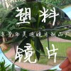 防霧鏡片，顏色鏡片，軟材質鏡片