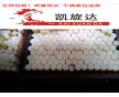德國原裝進口PU棒，批發(fā)出售，貨源充足