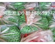 運動器材磨面發(fā)泡手把套,指紋把套
