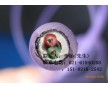 西門子PROFIBUS原裝電纜