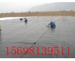 鄭州HDPE土工膜價(jià)格15698139511
