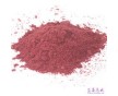 廠家直銷(xiāo)南箭牌藍(lán)莓果粉