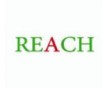 塑料REACH161項(xiàng)檢測(cè)SGS報(bào)告，SGS測(cè)試