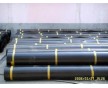 垃圾填埋場專用光面HDPE土工膜量大優(yōu)惠