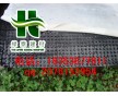 【泰安地下室防水排水板|長期供應HDPE3公分排水板】