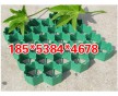 遼陽(yáng)植草格18553844678廠家