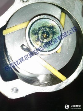 certification-photo1