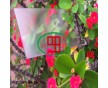 上海耐力板廠家生產(chǎn)PC磨砂板，PC顆粒耐力板，鉆石顆粒耐力板