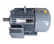 塔吊三速電機(jī)YZTD225M2-4/8/32現(xiàn)貨價(jià)格低