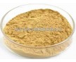 廠家直銷甘草提取物(甘草酸25%)