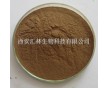 廠家直銷桂皮提取物   暖脾胃，散風(fēng)寒，通血脈