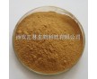 廠家現(xiàn)貨專業(yè)供應(yīng)肉蓯蓉提取物 10:1 補助陽，潤腸通便