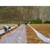 淄博無滴地膜哪里有供應(yīng)，山東無滴地膜