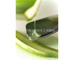 高彈性樹(shù)脂 乳液型樹(shù)脂 纖維專(zhuān)用樹(shù)脂 50B-50