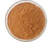 食品級(jí)茶多酚價(jià)格，食品級(jí)茶多酚國標(biāo)