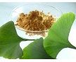 現(xiàn)貨供應(yīng)銀杏葉提取物24%黃酮6%內(nèi)酯、24%黃酮