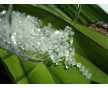 絲印用樹(shù)脂 TPU樹(shù)脂 熱塑性聚氨酯830