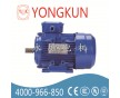 供應(yīng)YVF2-250M-4-55KW三相異步變頻電機(jī)