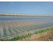 山東棚膜廠家直銷PO膜 光核虹膜 涂覆膜 流滴膜 大棚膜