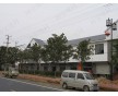 暴雨雷電怎么破？換秸稈瓦試試！