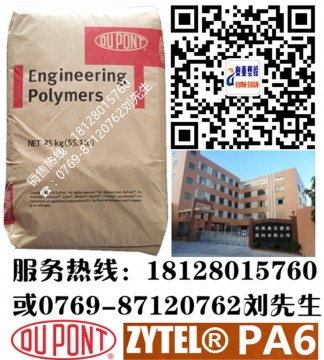美國杜邦PA6