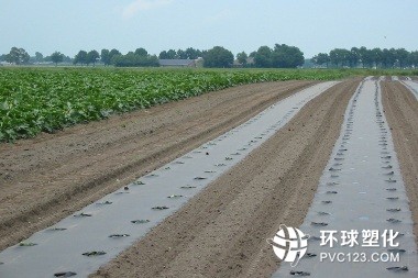 關(guān)于一般工業(yè)用薄膜的一二事