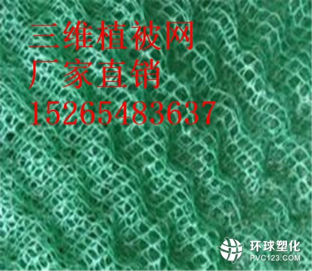 涼山三維植被網(wǎng)護坡15265483637