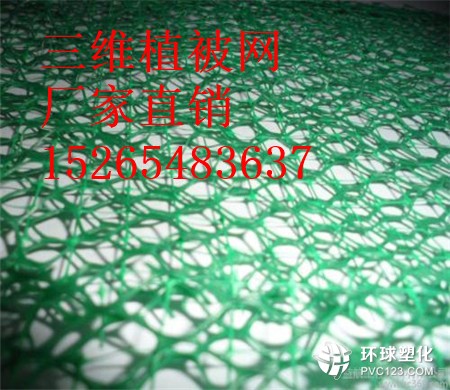 玉林三維植被網(wǎng)批發(fā)15265483637