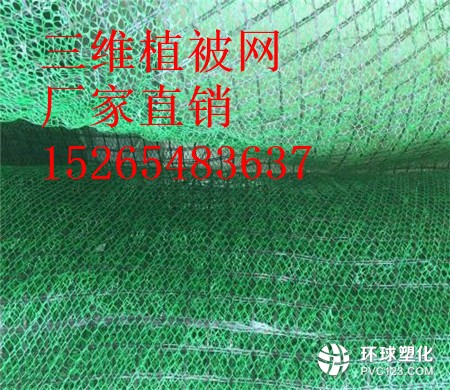 徐州三維植被網(wǎng)商家15265483637