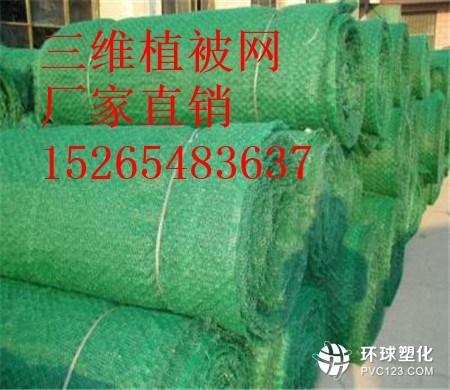 麗水三維植被網(wǎng)批發(fā)15265483637