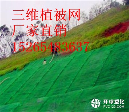 三亞三維植被網(wǎng)護坡15265483637
