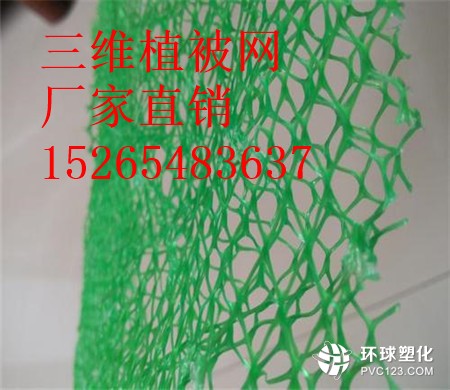 宜昌三維植被網(wǎng)供應(yīng)商15265483637
