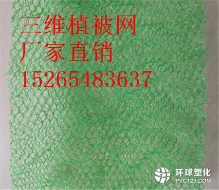 南陽三維植被網(wǎng)價格15265483637