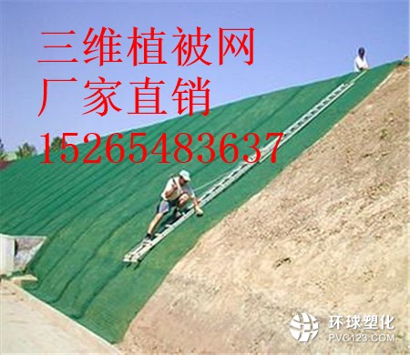 湖北三維植被網(wǎng)護(hù)坡15265483637