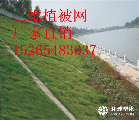 三沙三維植被網(wǎng)價格15265483637