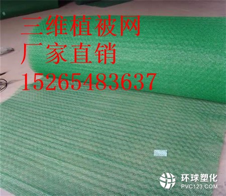 徐州三維植被網(wǎng)價(jià)格15265483637