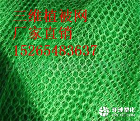 南陽三維植被網(wǎng)商家15265483637