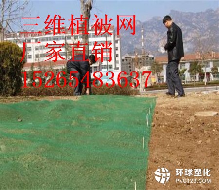 三沙三維植被網廠家15265483637