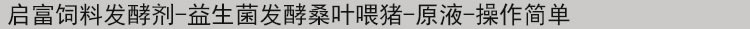 桑樹葉喂豬