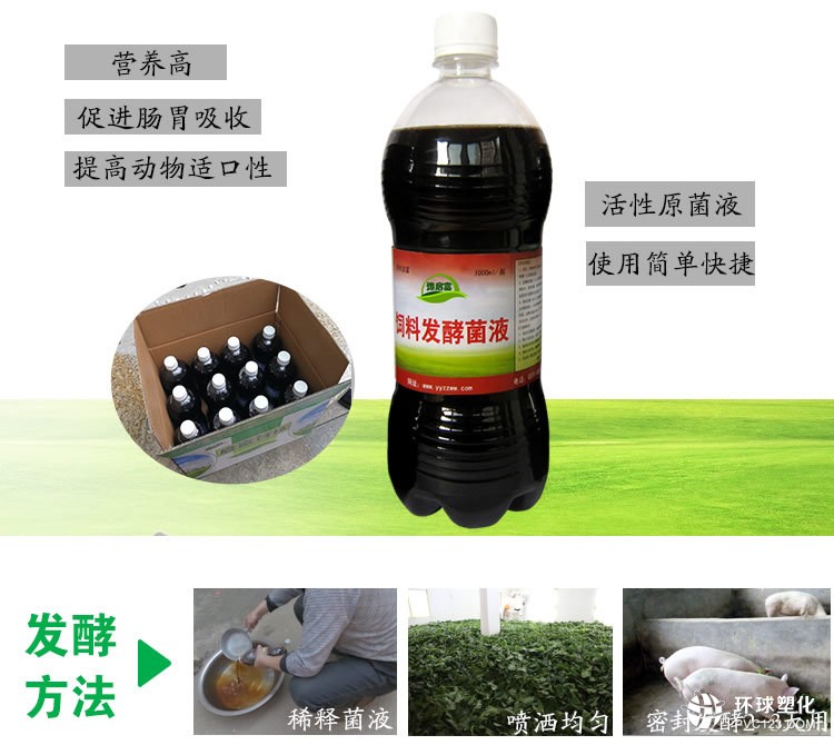 桑葉喂豬可靠性