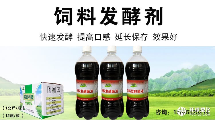 發(fā)酵桑葉喂豬