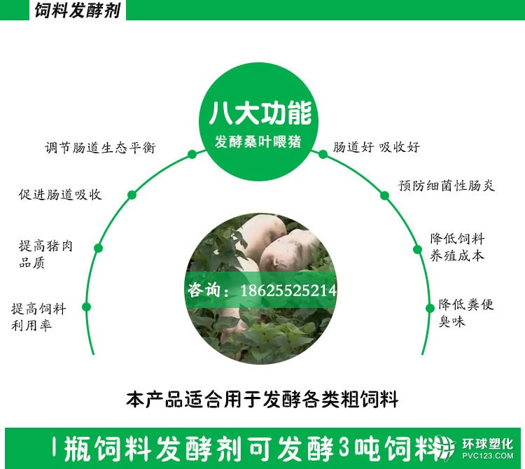 桑葉喂豬技術(shù)