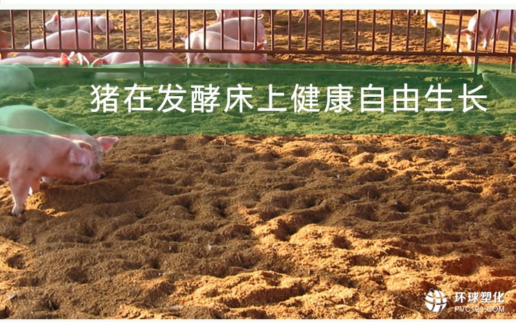 發(fā)酵床養(yǎng)殖菌種2