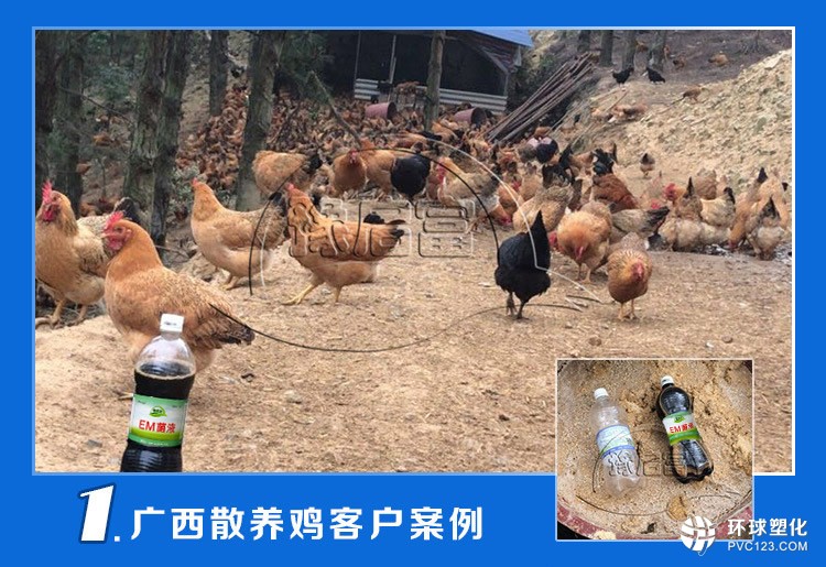 em菌液養(yǎng)雞
